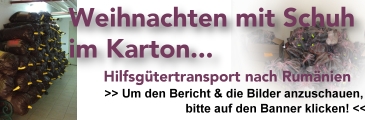 Bericht & Bilder des Hilfsgütertransportes nach Rumänien 2012: Weihnachten mit Schuh im Karton